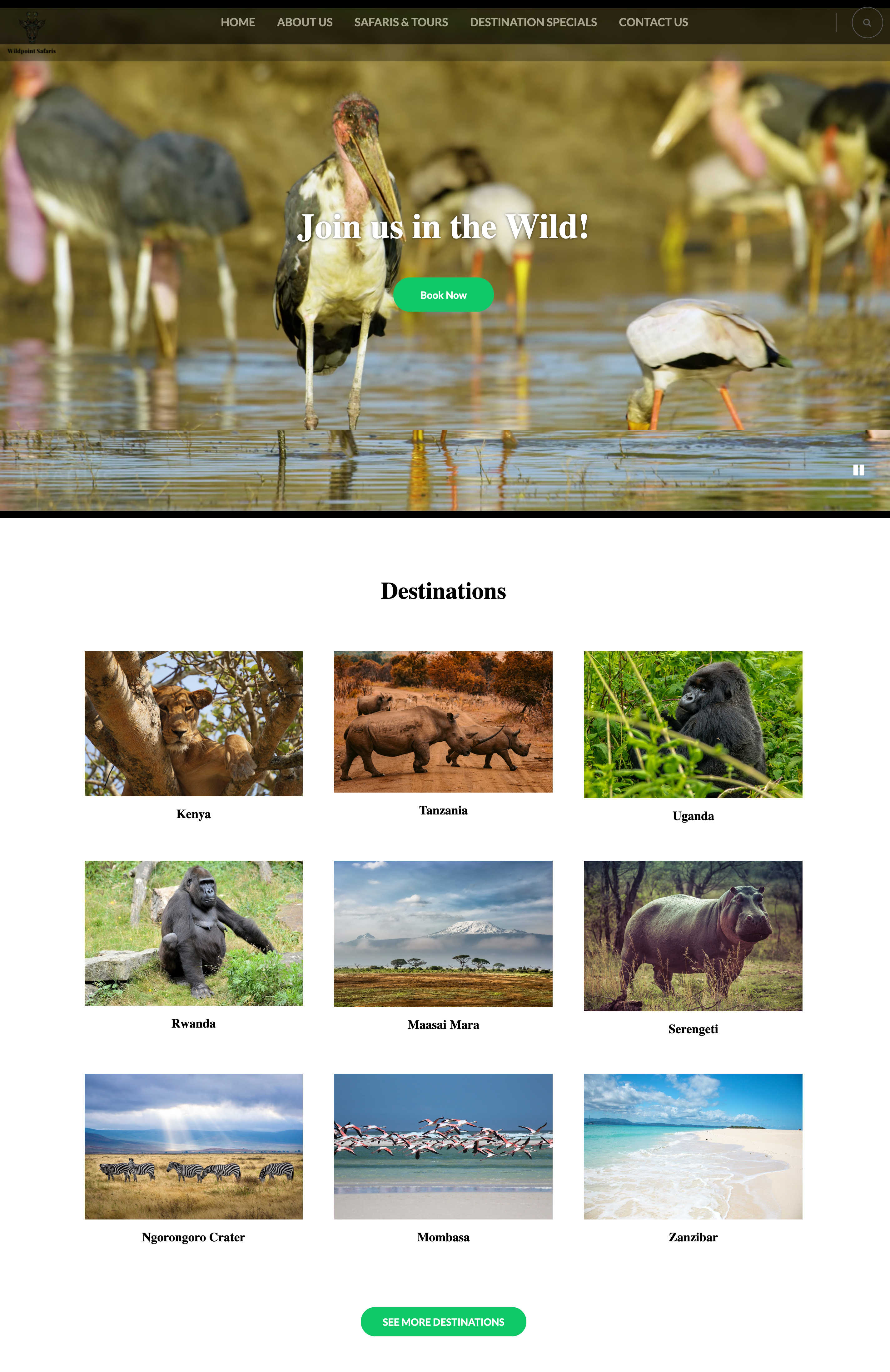 African Safari Website